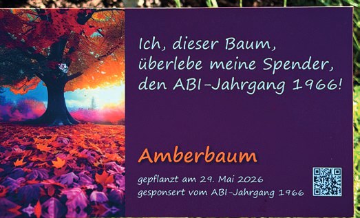 Schild am Amberbaum mit einem gemalten bunten Herbstbaum und der Inschrift: „Ich, dieser Baum, überlebe meine Spender, den Abi-Jahrgang 1966! Amberbaum, gepflanzt am 29. Mai 2026, gesponsert vom Abi-Jahrgang 1966“.